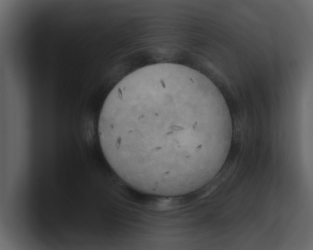 X0000100480130200807111109