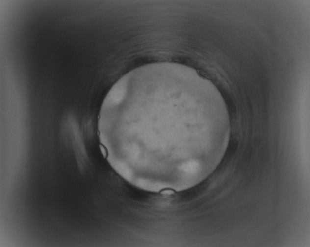 X0000100480131200807111109