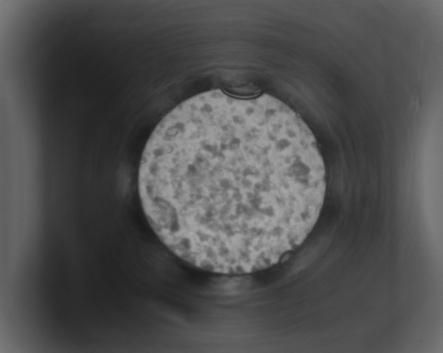 X0000100480135200807111109