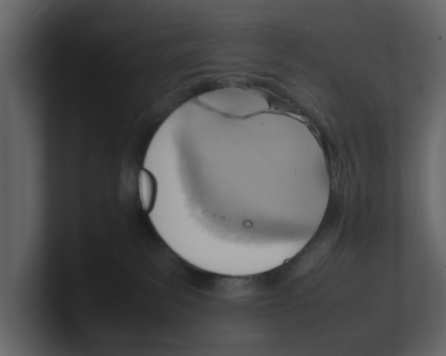 X0000100480139200807111109