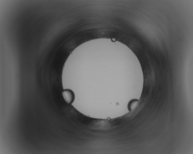 X0000100480140200807111109