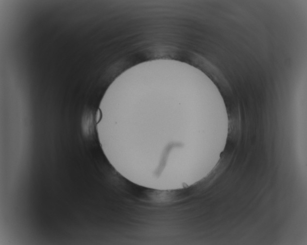 X0000100480142200807111109