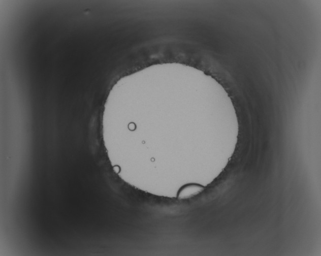 X0000100480144200807111109