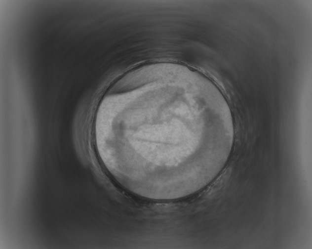 X0000100480145200807111108