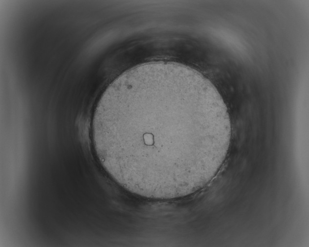 X0000100480146200807111108