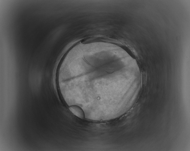 X0000100480147200807111108