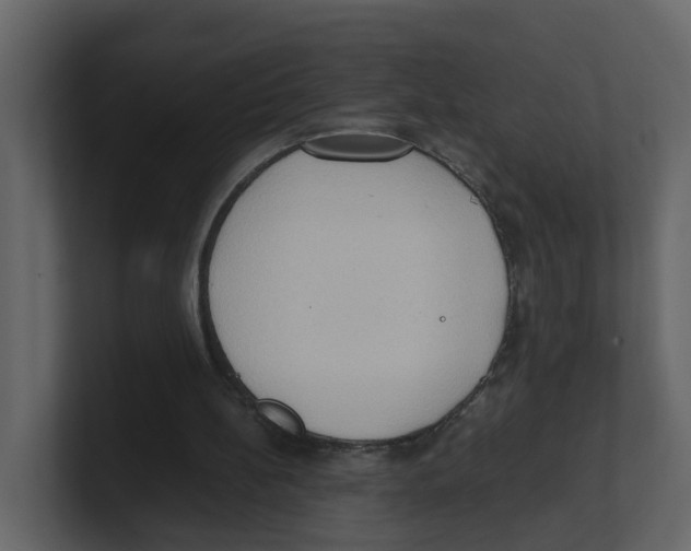 X0000100480148200807111108