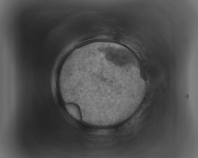 X0000100480149200807111108