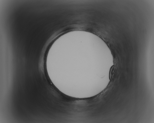 X0000100480150200807111109