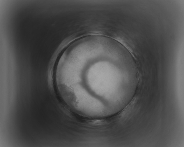 X0000100480151200807111109