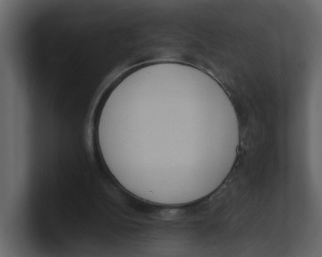 X0000100480152200807111109