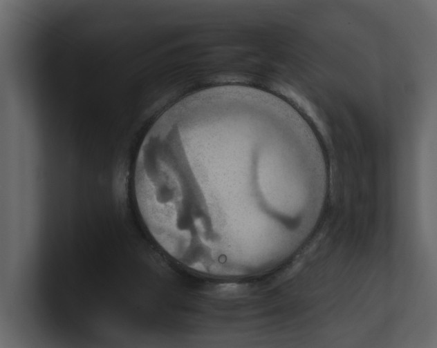 X0000100480153200807111109