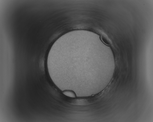 X0000100480154200807111109