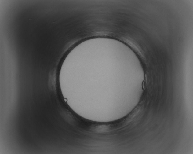 X0000100480156200807111109