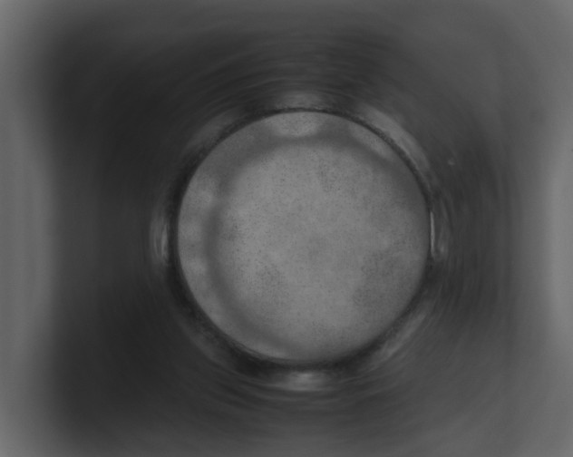 X0000100480157200807111109