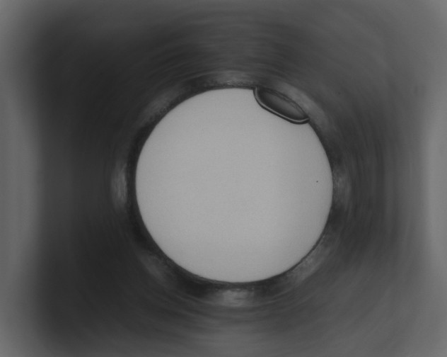 X0000100480158200807111109