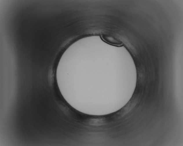 X0000100480160200807111109