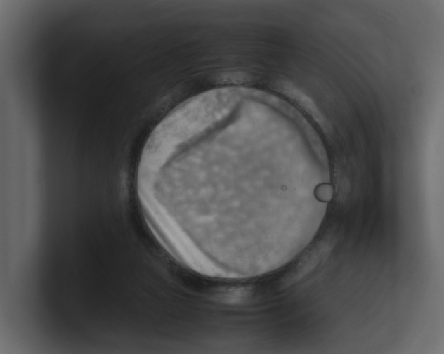 X0000100480161200807111109