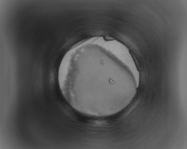 X0000100480165200807111109