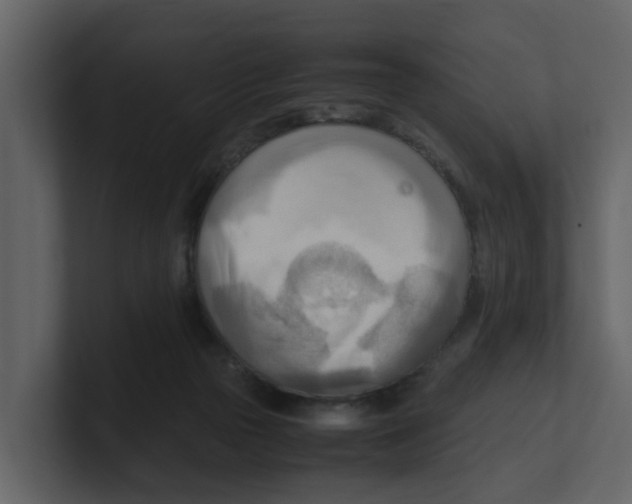 X0000100480169200807111109