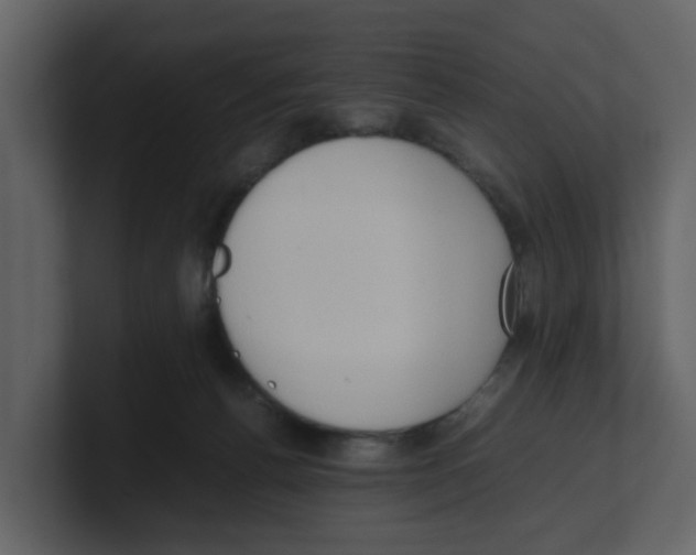 X0000100480176200807111109