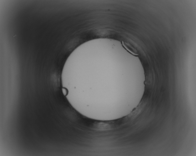 X0000100480180200807111109