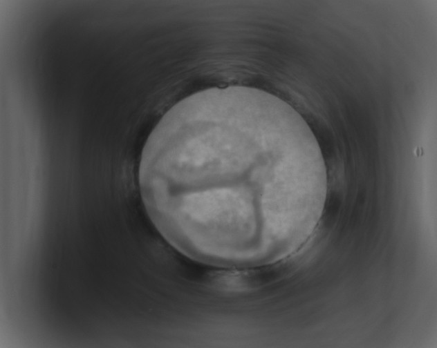 X0000100480182200807111109