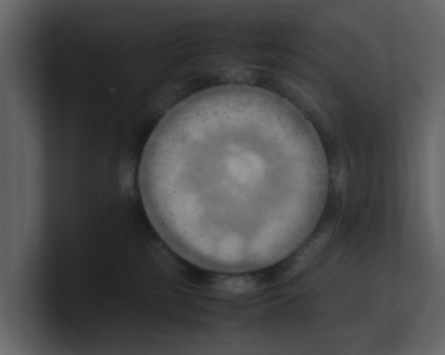 X0000100480185200807111109