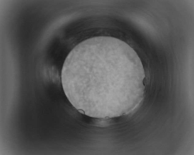 X0000100480191200807111109