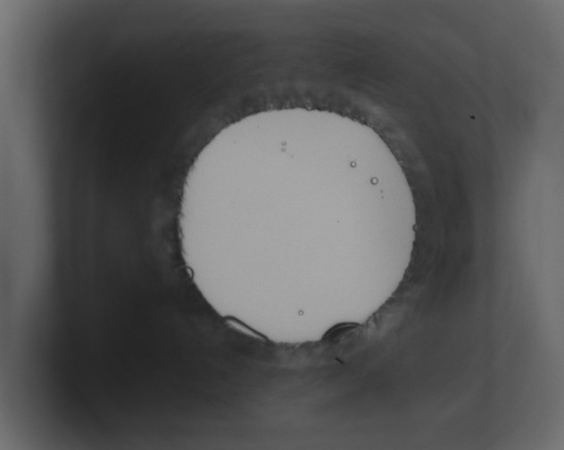 X0000100480192200807111109