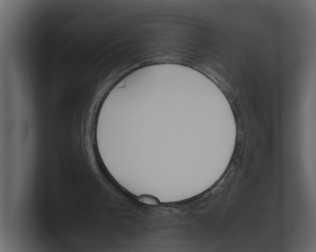 X0000100480193200807111108