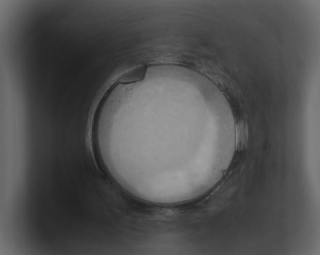 X0000100480195200807111108