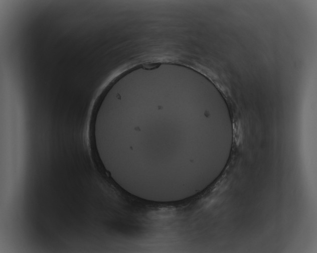 X0000100480196200807111108