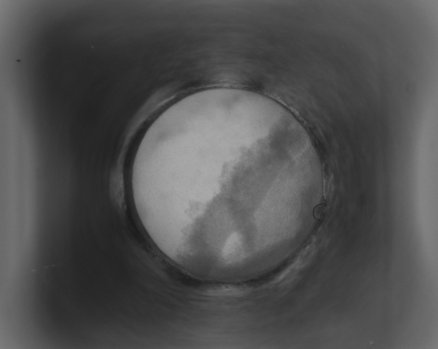 X0000100480198200807111108