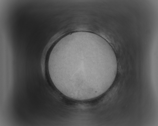 X0000100480199200807111108