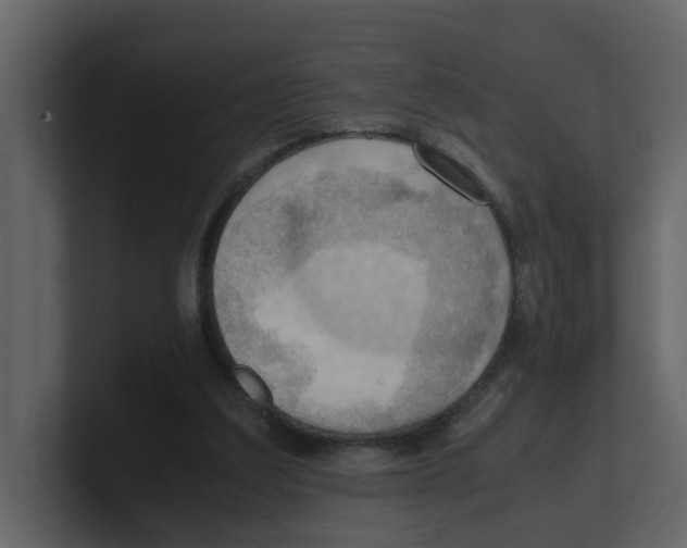 X0000100480203200807111108