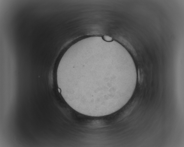 X0000100480204200807111108