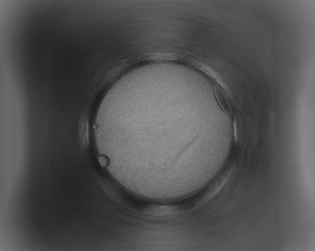 X0000100480205200807111108