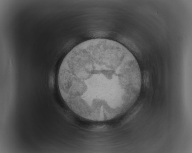 X0000100480206200807111108