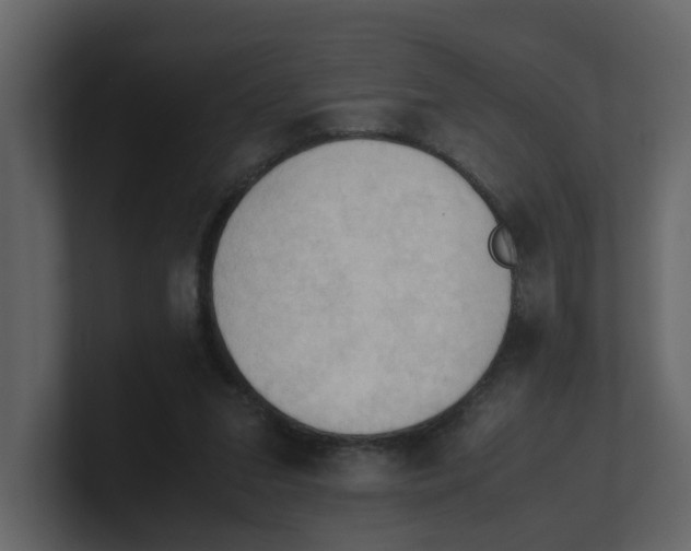 X0000100480207200807111108