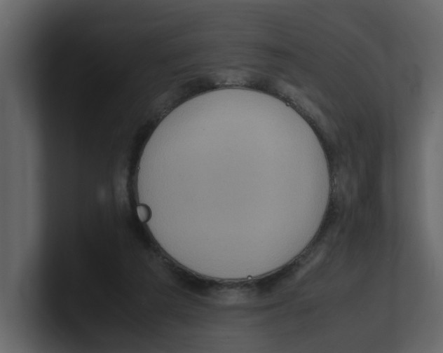 X0000100480209200807111108