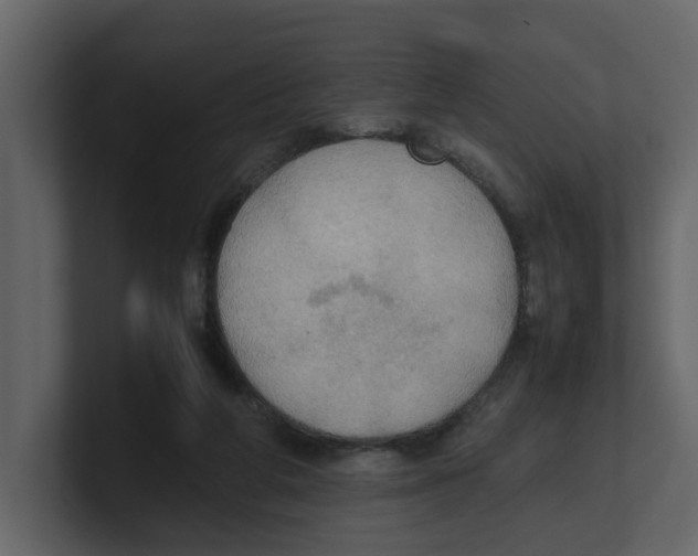 X0000100480210200807111108