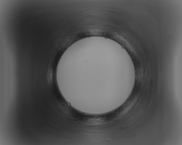 X0000100480213200807111108