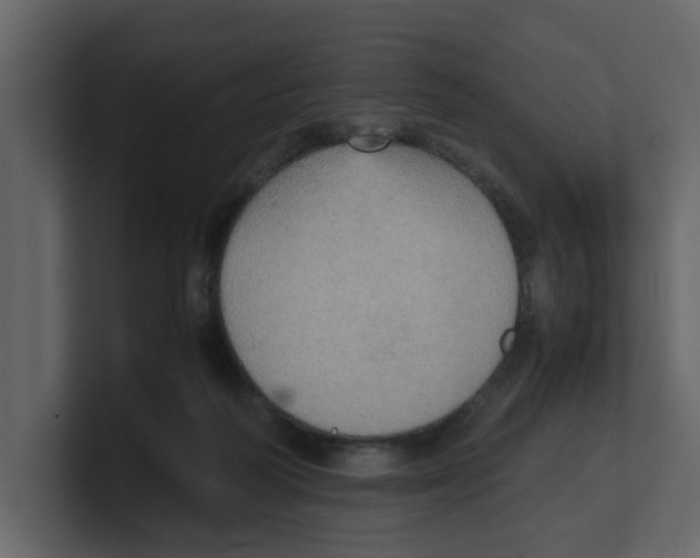 X0000100480218200807111108