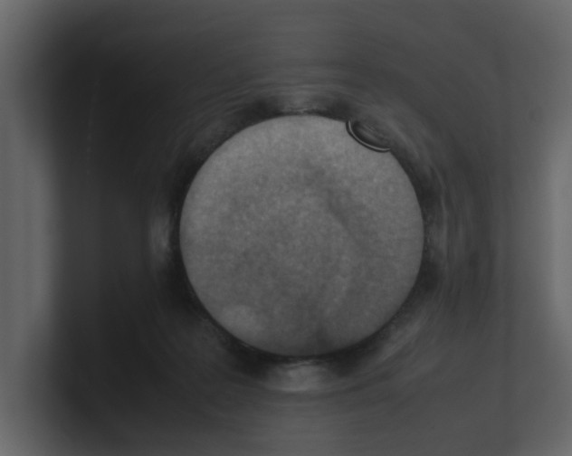 X0000100480219200807111108