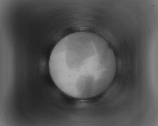 X0000100480222200807111108