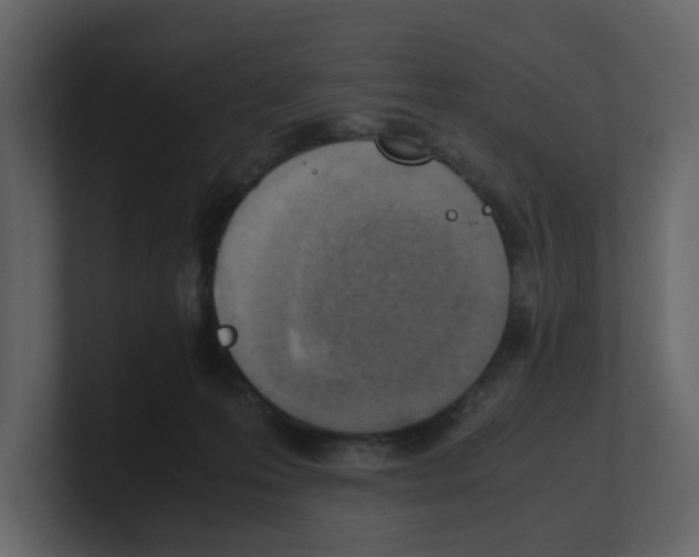 X0000100480223200807111108