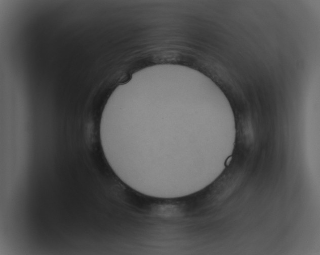 X0000100480224200807111108