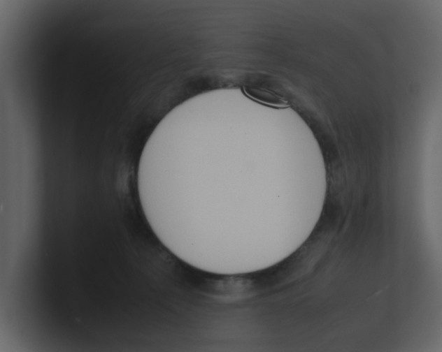 X0000100480225200807111108