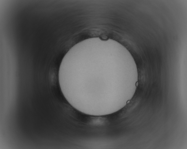 X0000100480226200807111108